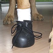 Sprenger Rubber Dog Boots